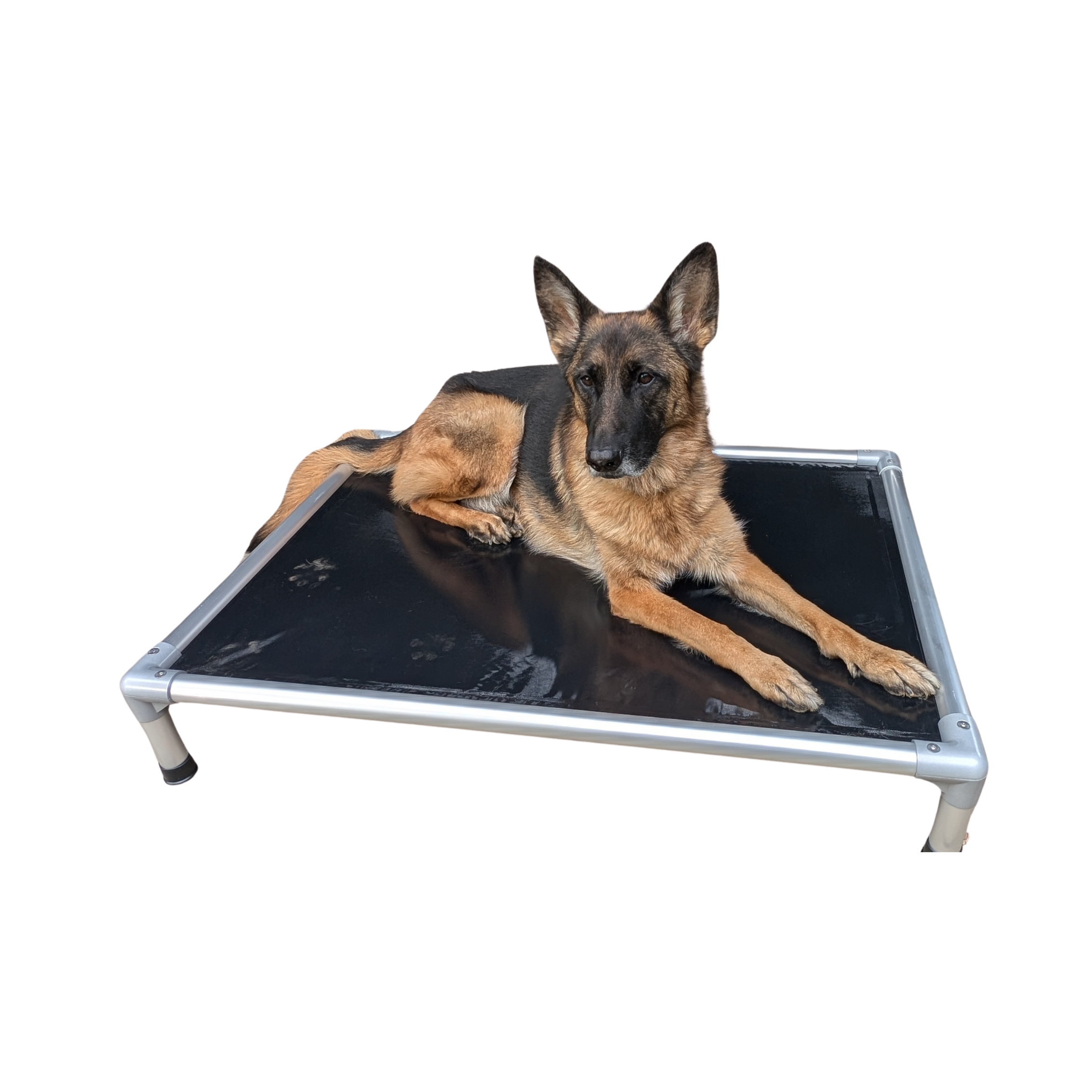 Dog Crate K9 Ballistics Toys Dog Crates K9 Ballistics Chew Resistant Dog Bed Chew Proof Armored